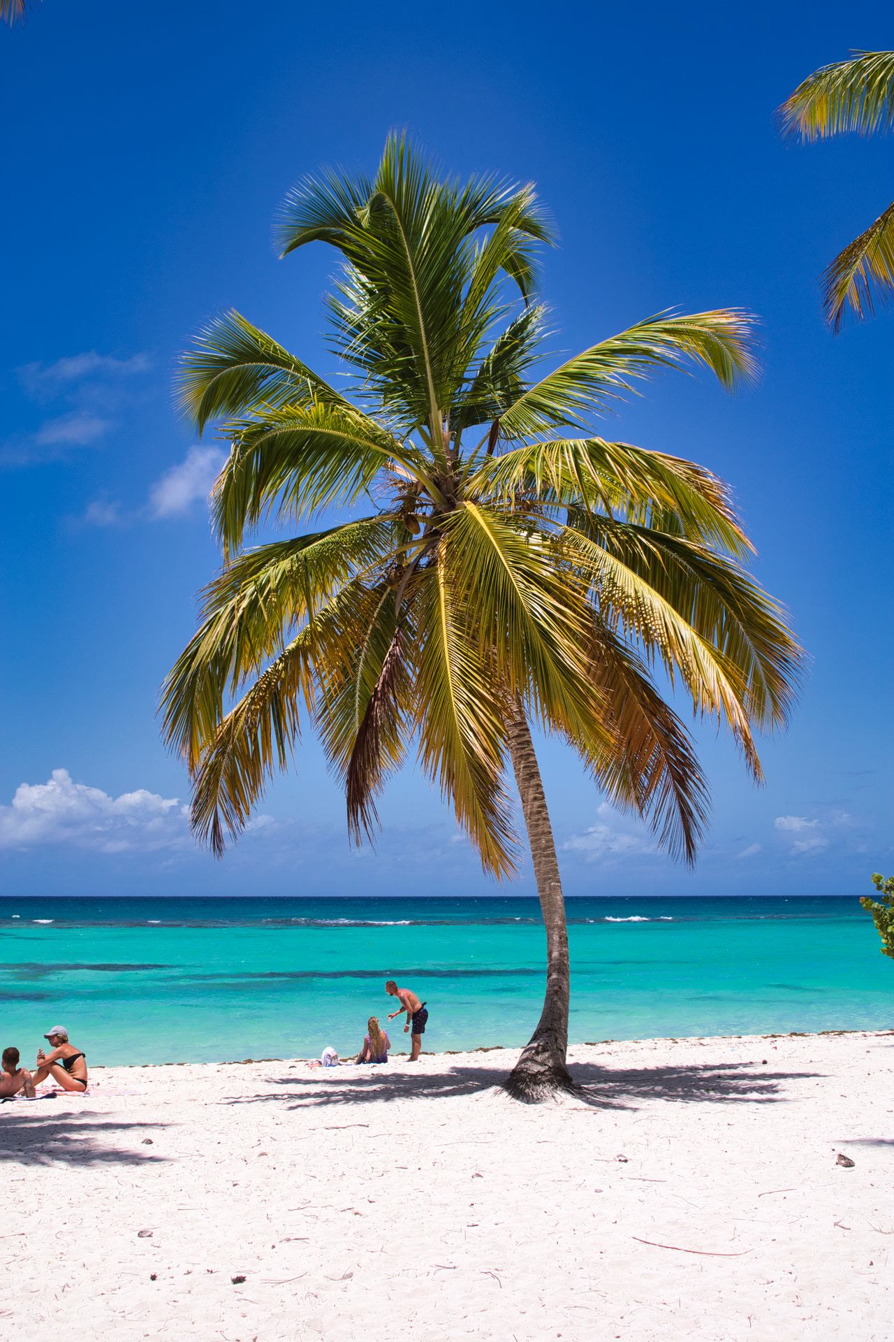 Caribbean